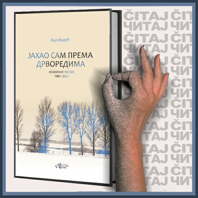 Aca Vidić – Jahao sam prema drvoredima – baner