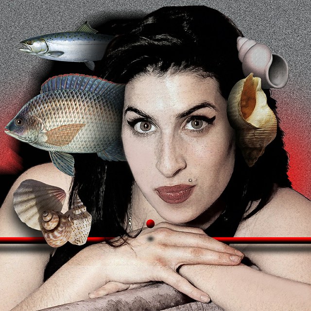 Amy Winehouse - slika Zorana Mujbegovica