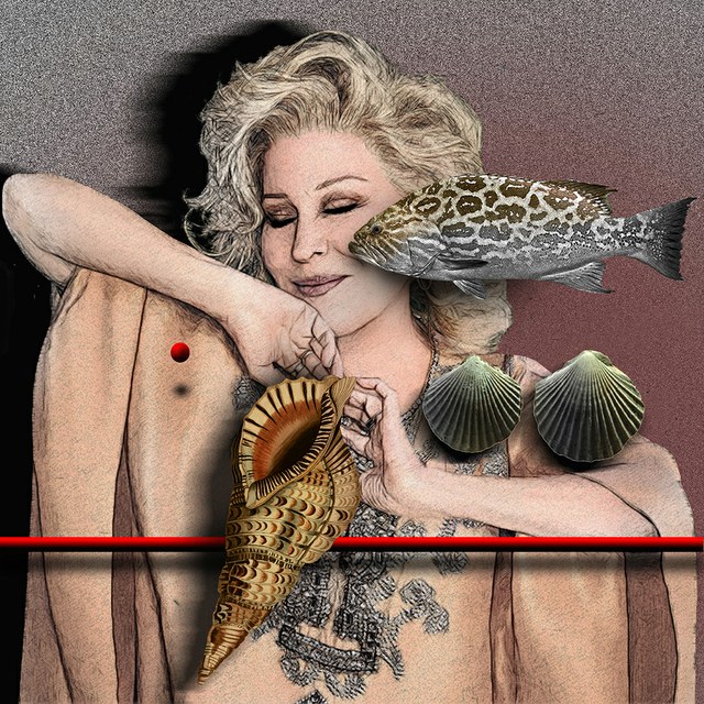 Bette Midler - slika Zorana Mujbegovica