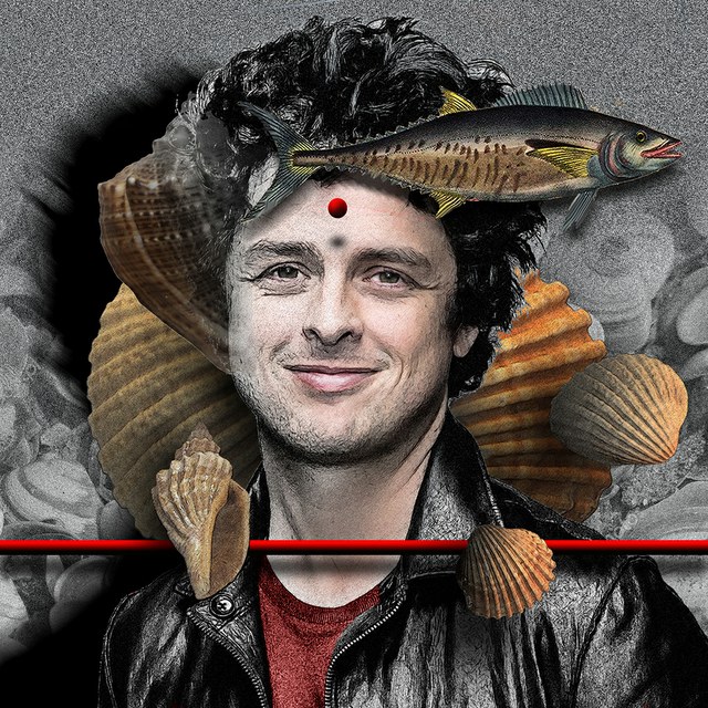 Billie Joe Armstrong - slika Zorana Mujbegovica