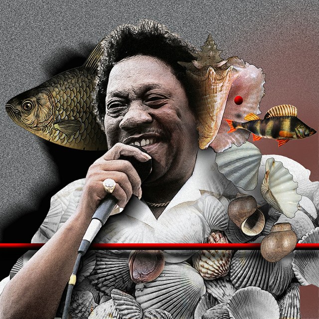 Bobby Blue Bland - slika Zorana Mujbegovica