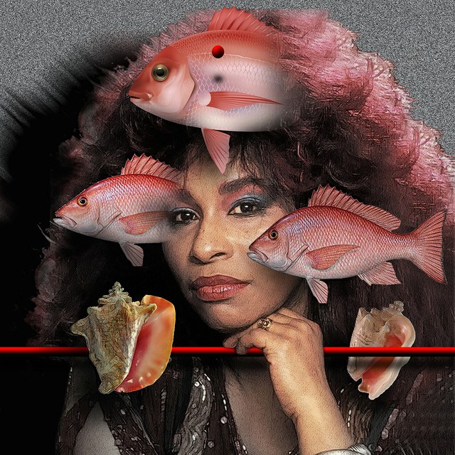 Chaka Khan - slika Zorana Mujbegovica