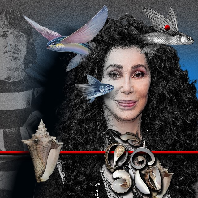 Cher - slika Zorana Mujbegovica