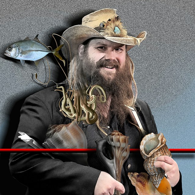 Chris Stapleton - slika Zorana Mujbegovica
