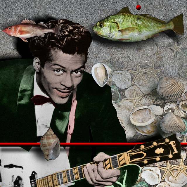 Chuck Berry - slika Zorana Mujbegovica