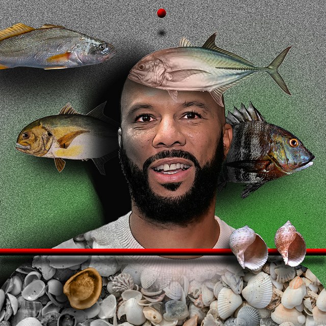 Common - slika Zorana Mujbegovica