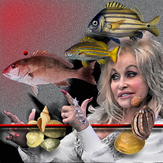 Dolly Parton slika Zorana Mujbegovica