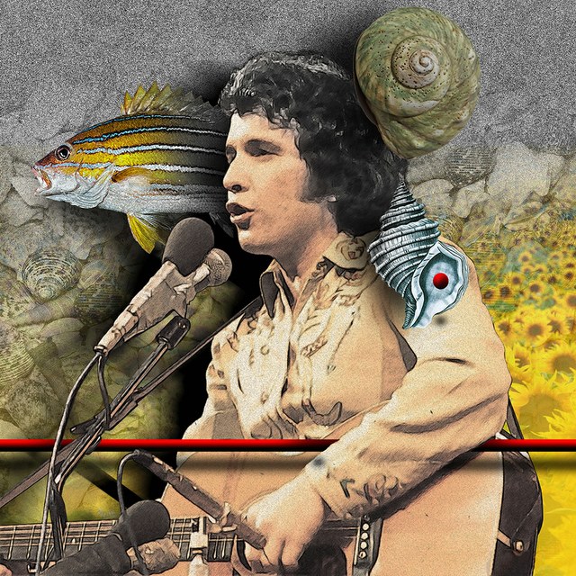 Don McLean - slika Zorana Mujbegovica