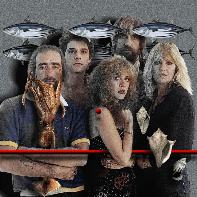 Fleetwood Mac - slika Zorana Mujbegovica