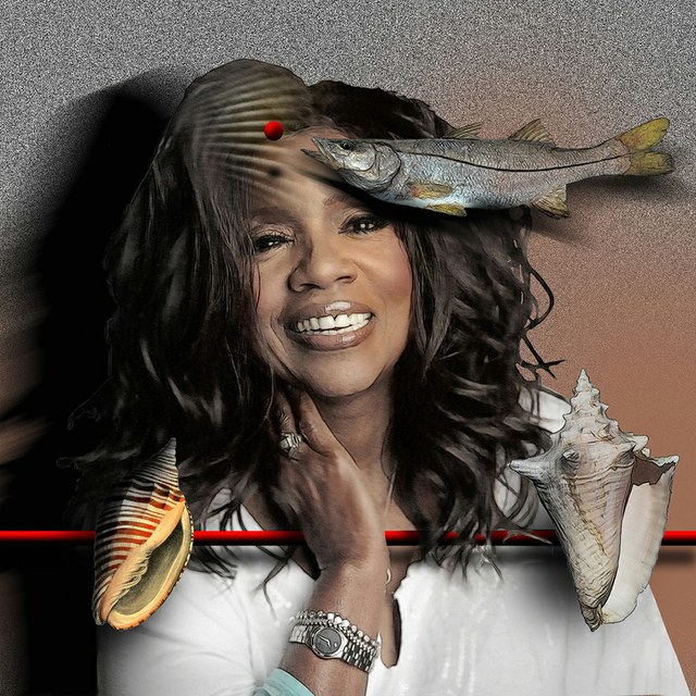 Gloria Gaynor - slika Zorana Mujbegovica