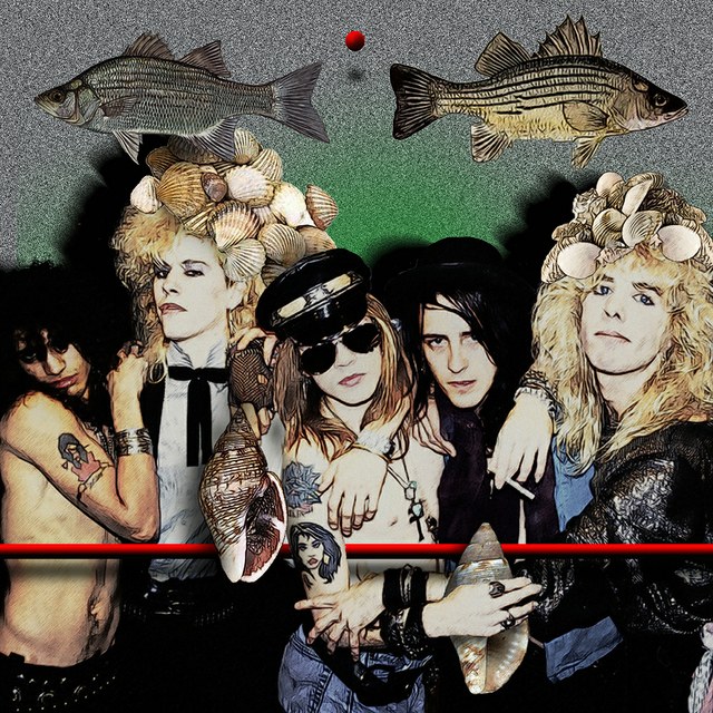 Guns N Roses - slika Zorana Mujbegovica