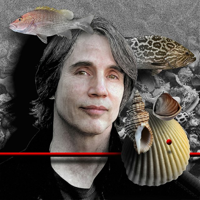 Jackson Browne - slika Zorana Mujbegovica