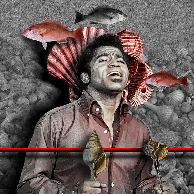 James Brown - slika Zorana Mujbegovica