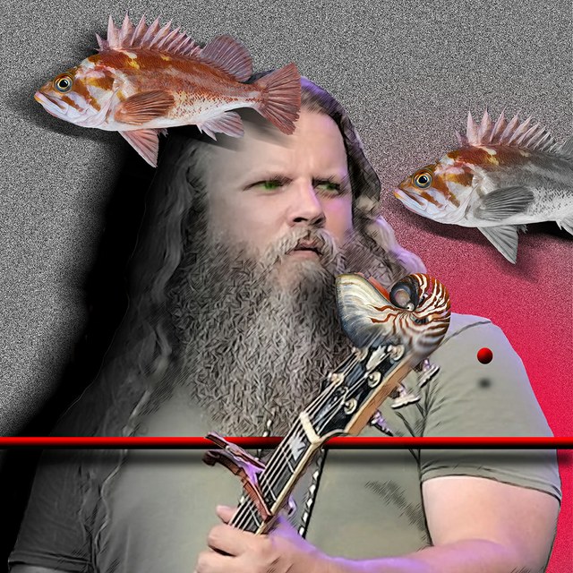Jamey Johnson - slika Zorana Mujbegovica