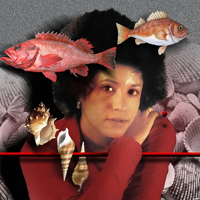 Janis Ian - slika Zorana Mujbegovica