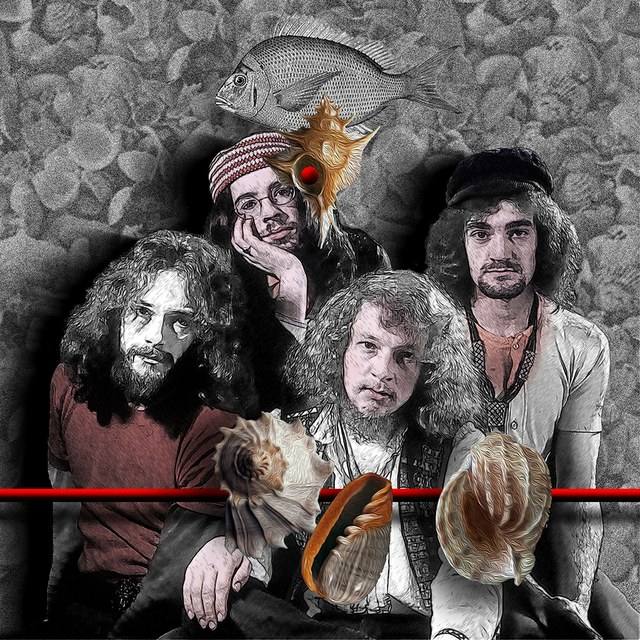 Jethro Tull - slika Zorana Mujbegovica