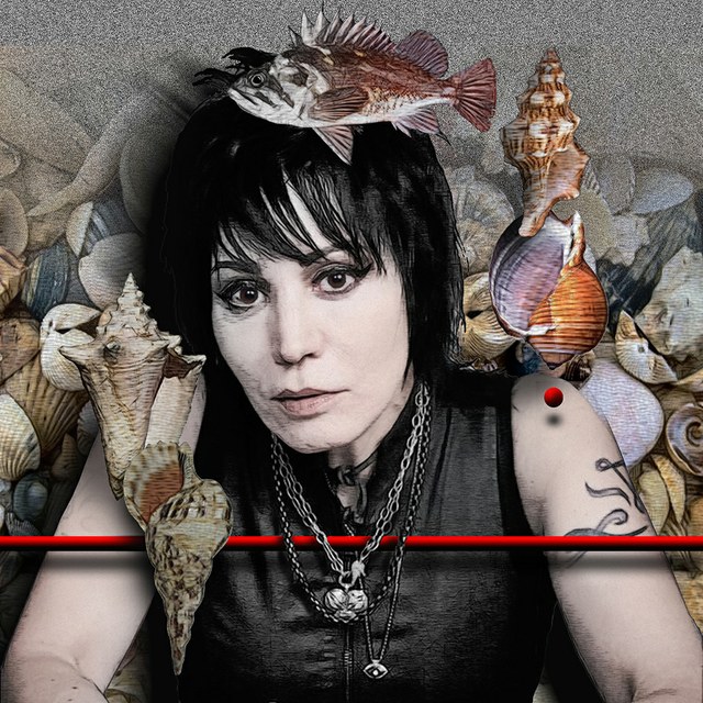 Joan Jett - slika Zorana Mujbegovica