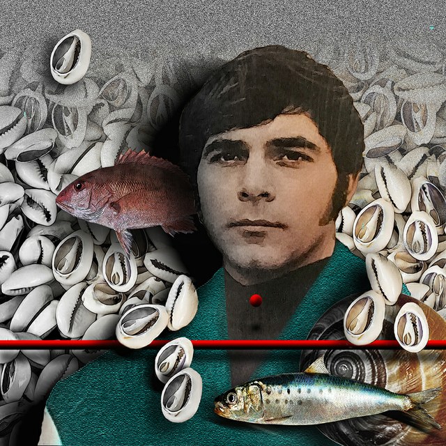 Joe South - slika Zorana Mujbegovica