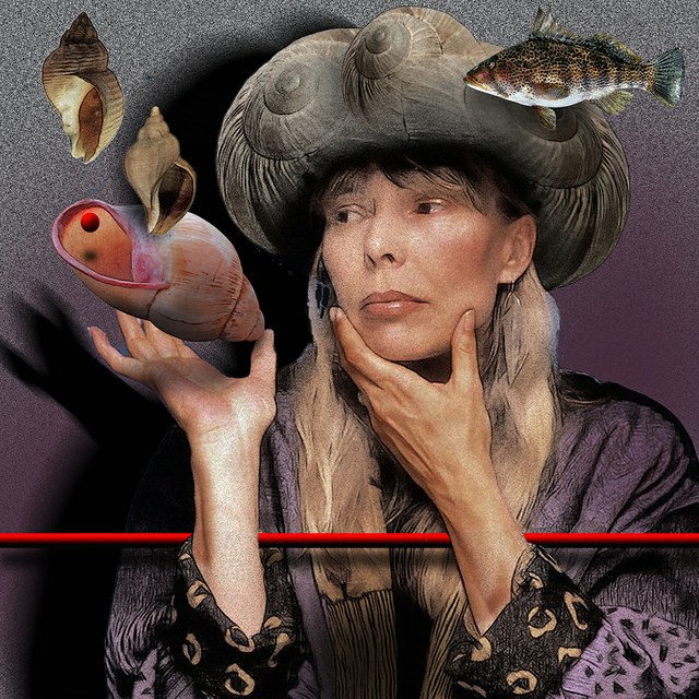 Joni Mitchell - slika Zorana Mujbegovica