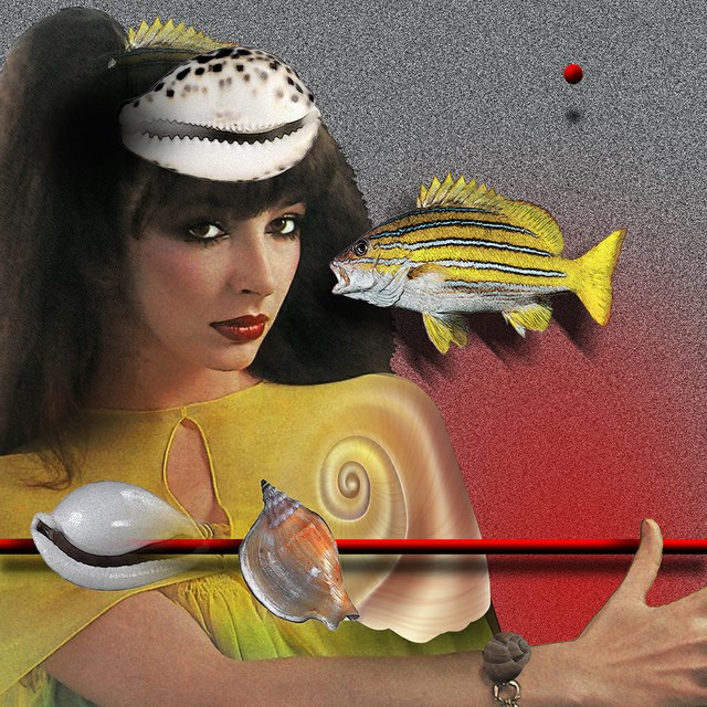 Kate Bush - slika Zorana Mujbegovica
