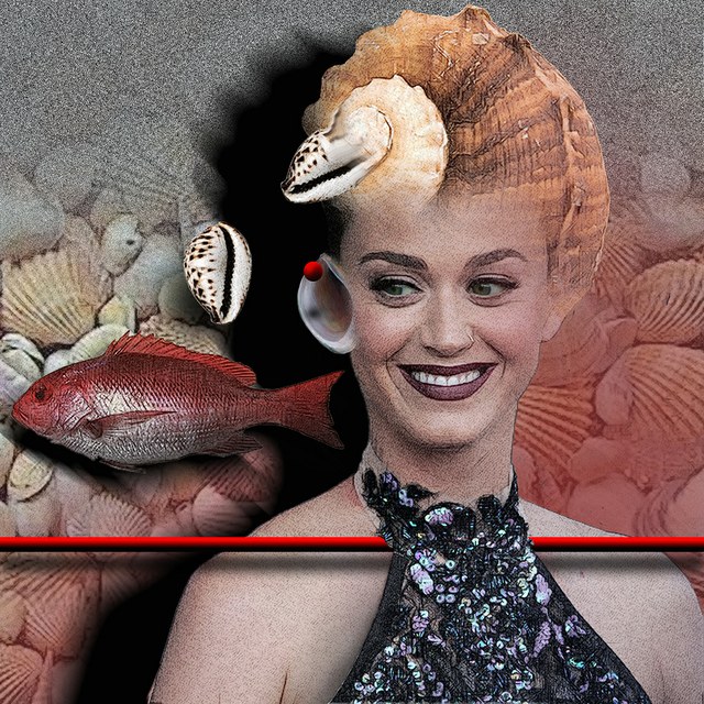 Katy Perry - slika Zorana Mujbegovica