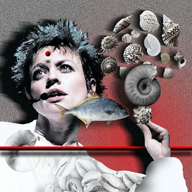 Laurie Anderson - slika Zorana Mujbegovica