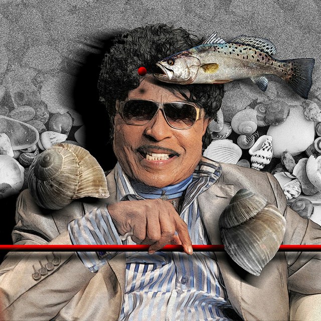 Little Richard - slika Zorana Mujbegovica