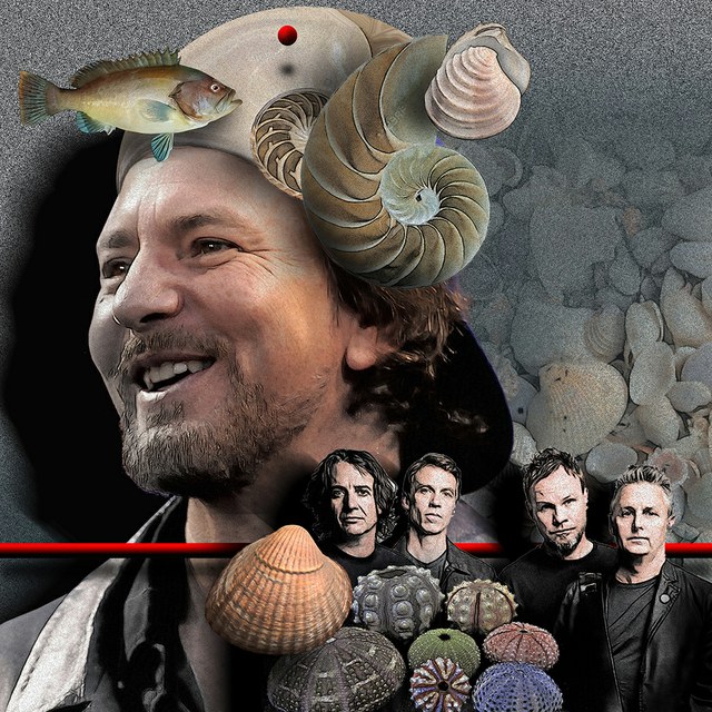 Pearl Jam - slika Zorana Mujbegovića