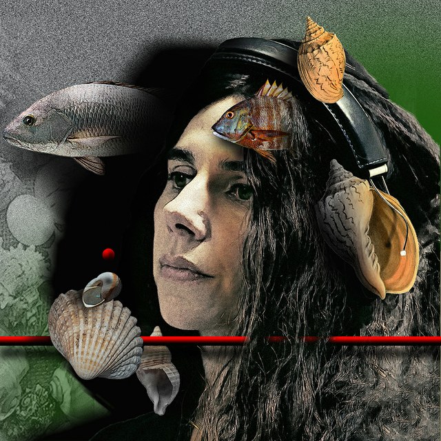 PJ Harvey - slika Zorana Mujbegovica