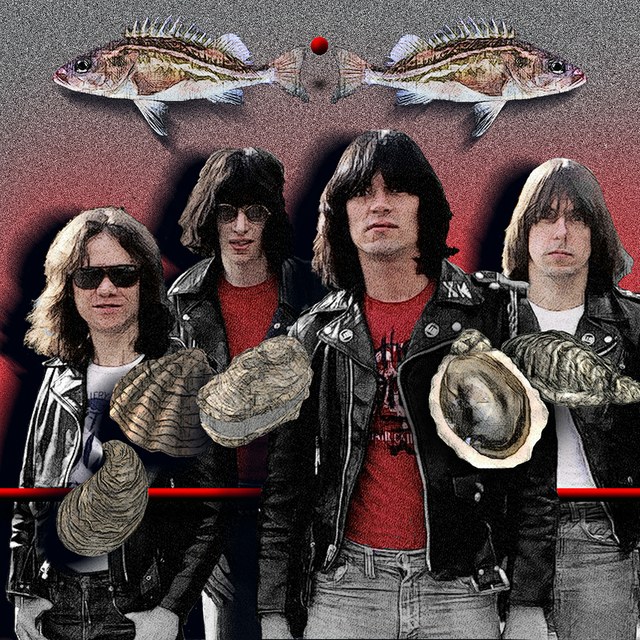 Ramones - slika Zorana Mujbegovica