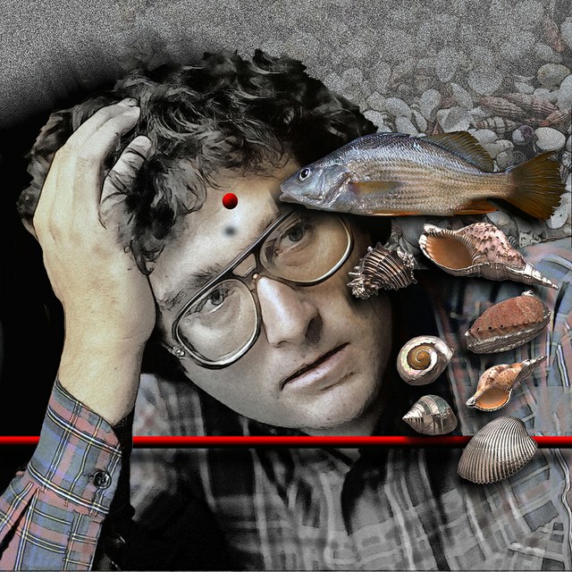 Randy Newman  - slika Zorana Mujbegovica