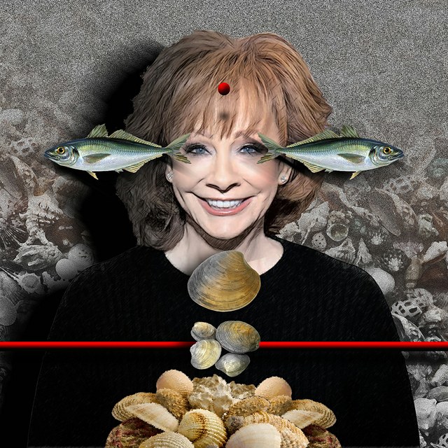 Reba McEntire - slika Zorana Mujbegovica