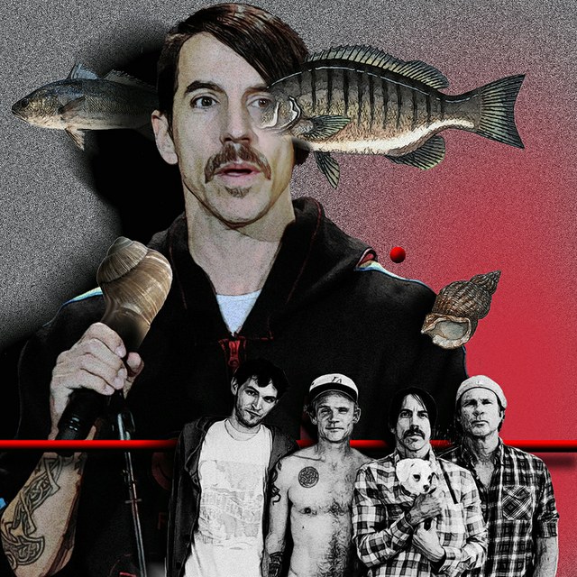 RHCP - slika Zorana Mujbegovica