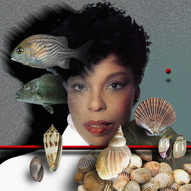 Roberta Flack - slika Zorana Mujbegovica