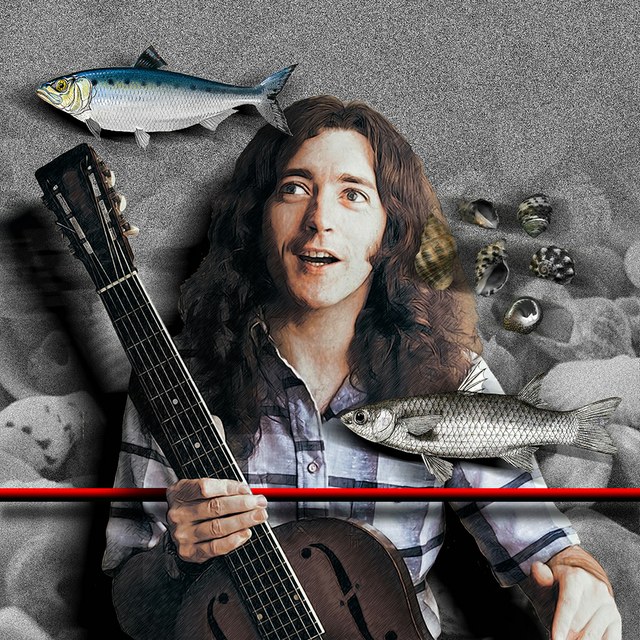 Rory Gallagher - slika Zorana Mujbegovica