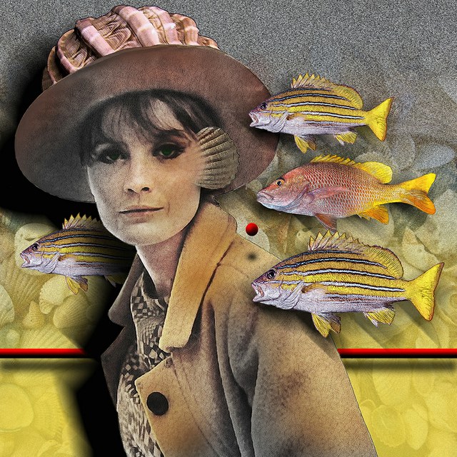 Sandie Shaw - slika Zorana Mujbegovica