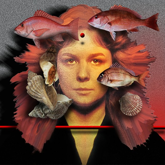 Sandy Denny - slika Zorana Mujbegovica