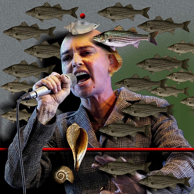 Sinead O'Connor - slika Zorana Mujbegovica