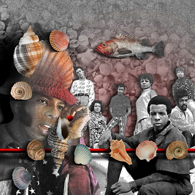 Sly and the Family Stone - slika Zorana Mujbegovica