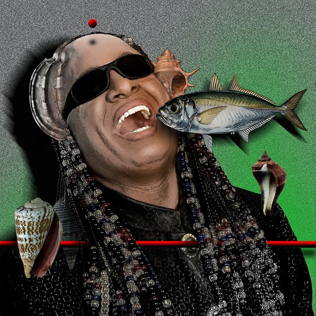 Stevie Wonder - slika Zorana Mujbegovica