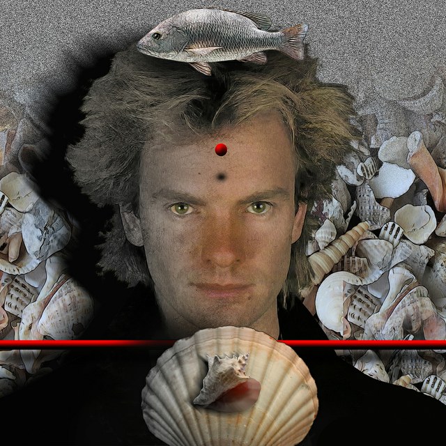 Sting - slika Zorana Mujbegovica