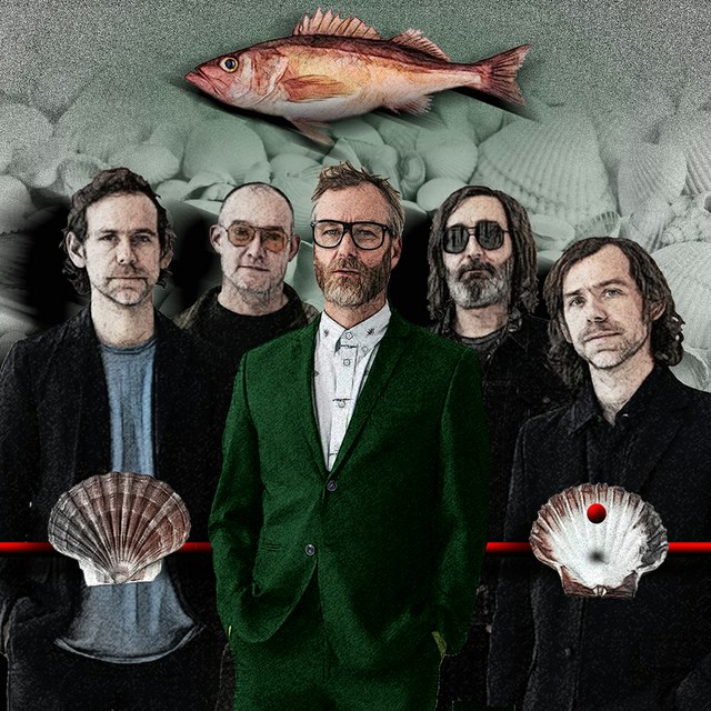 The National - slika Zorana Mujbegovica