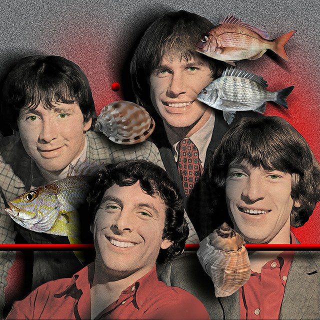The Troggs - slika Zorana Mujbegovica