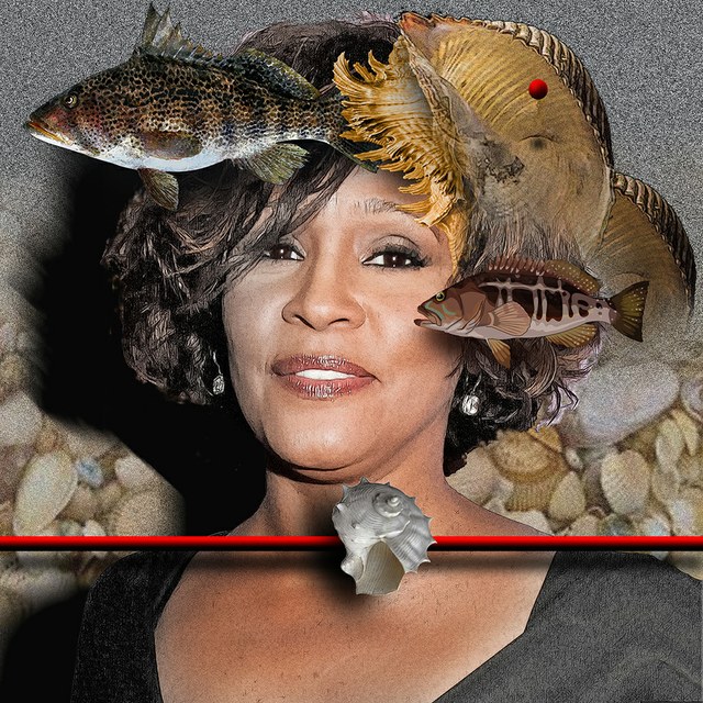 Whitney Houston - slika Zorana Mujbegovica